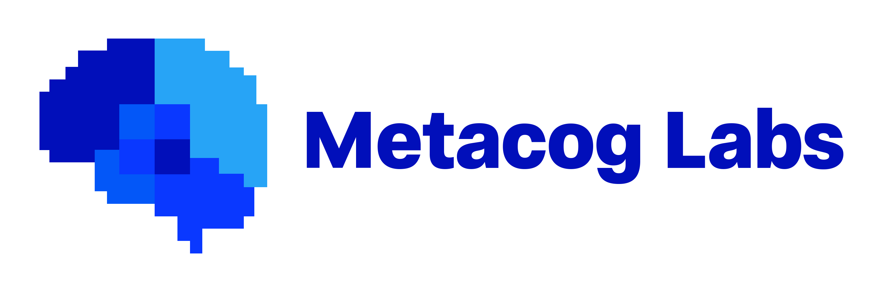 Metacog Labs